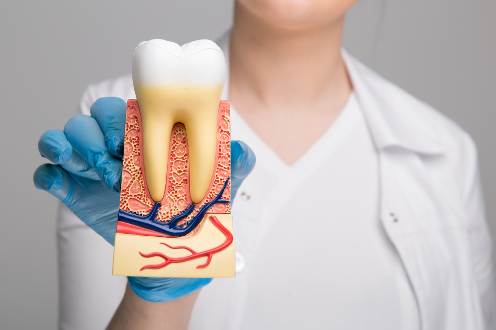 how long does a root canal take to heal after treatment