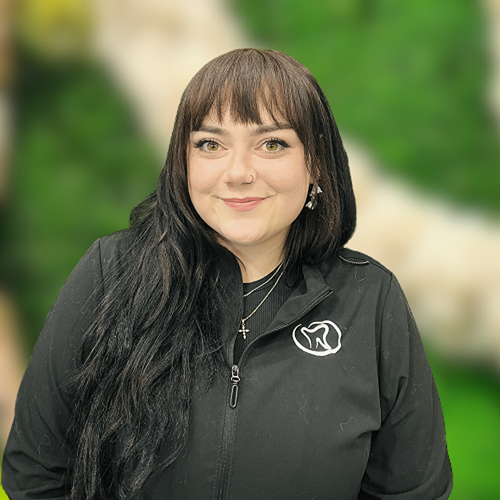 Jamie Dental Assistant